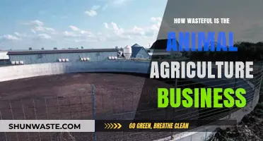 Animal Agriculture's Waste Crisis: Environmental Impact and Unsustainable Practices
