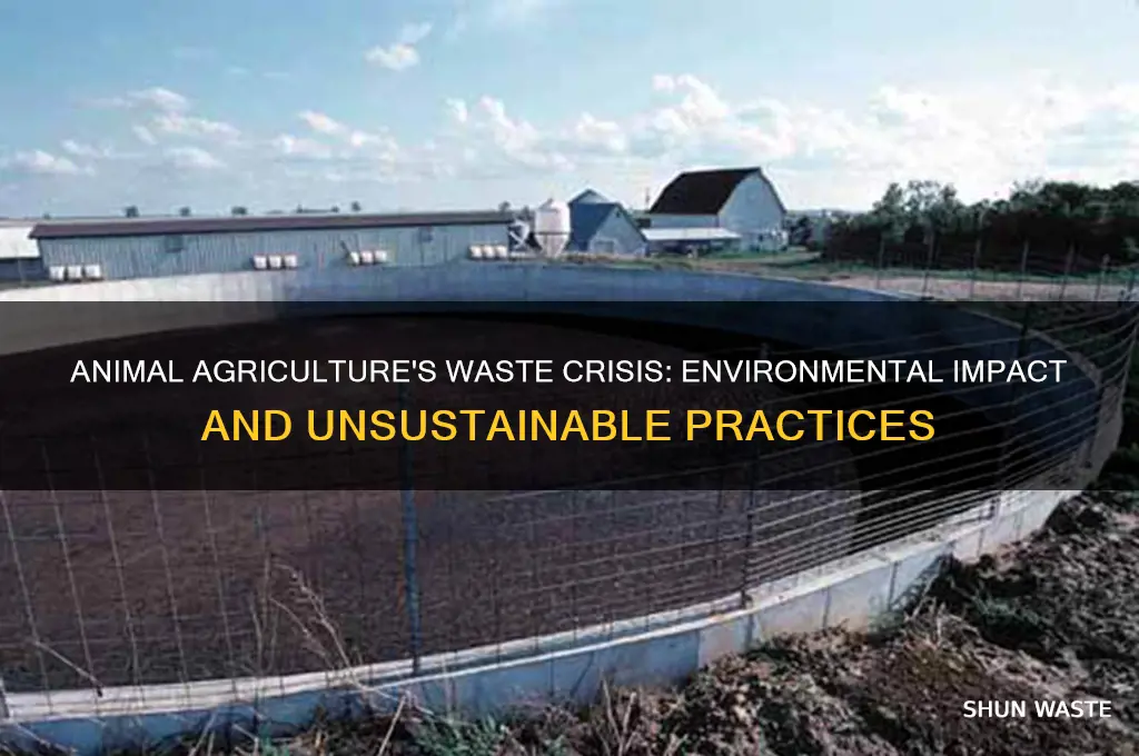 how wasteful is the animal agriculture business