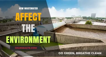 Wastewater's Environmental Impact: Pollution, Ecosystems, and Sustainable Solutions