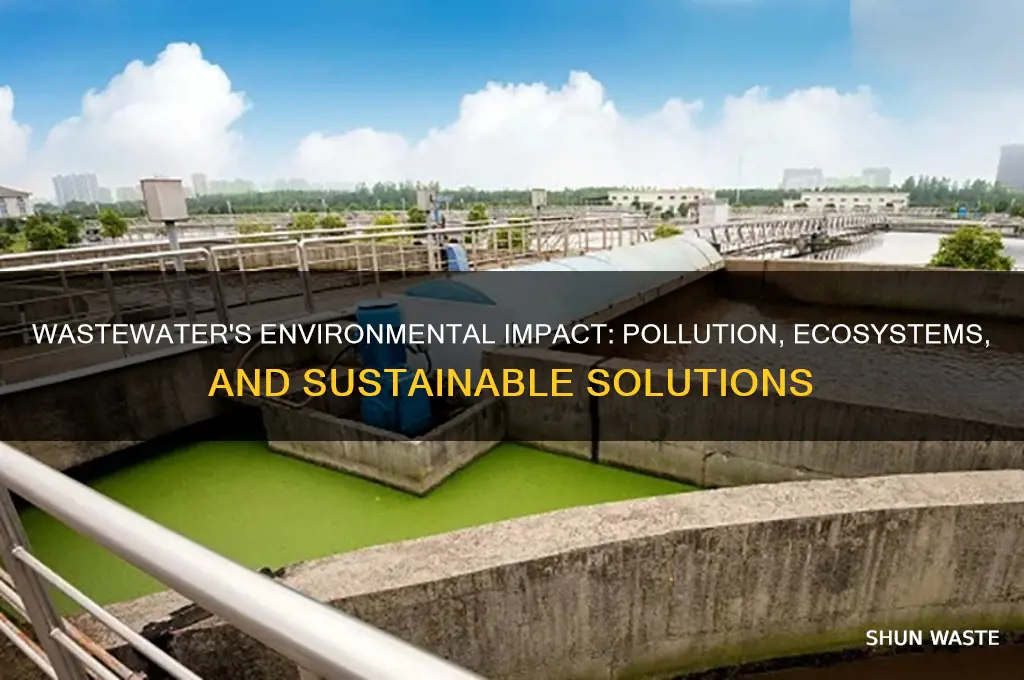 how wastewater affect the environment