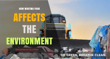 Food Waste's Environmental Impact: A Hidden Crisis We Must Address