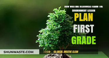 Teaching First Graders: How Wasting Resources Harms Our Environment