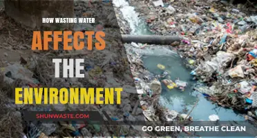 Water Waste Crisis: Environmental Impacts and Urgent Conservation Needs