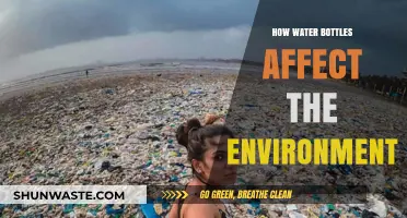 The Hidden Environmental Impact of Everyday Water Bottles