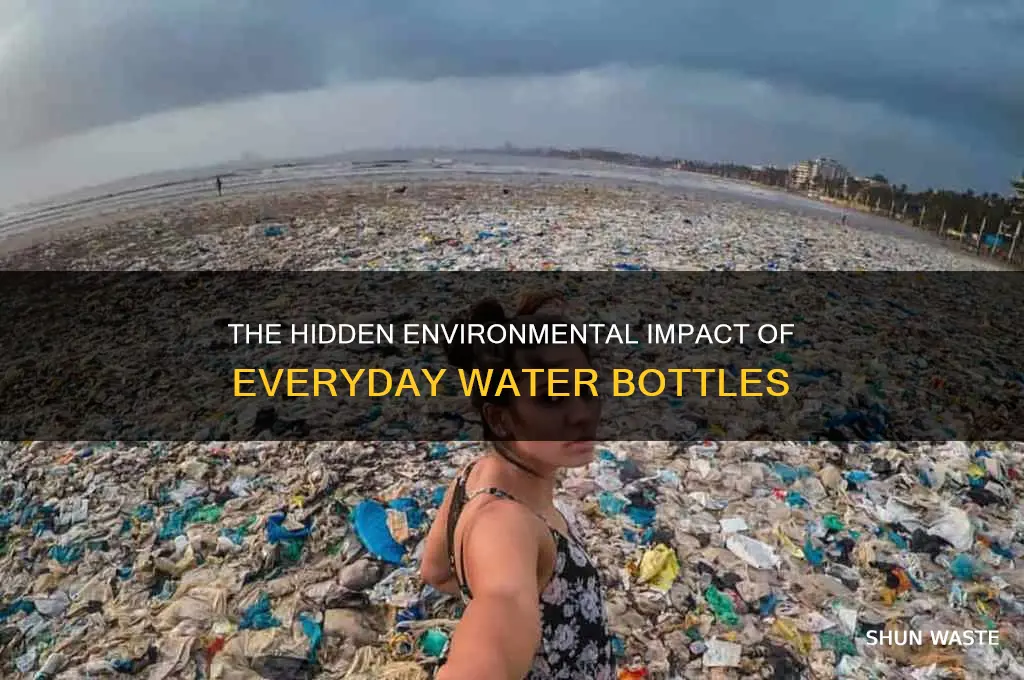 how water bottles affect the environment
