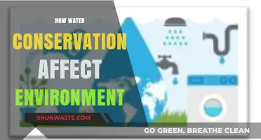 Water Conservation: A Key to Protecting Our Environment and Future