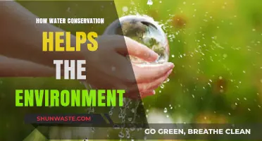 Water Conservation: A Key to Protecting Our Environment and Future