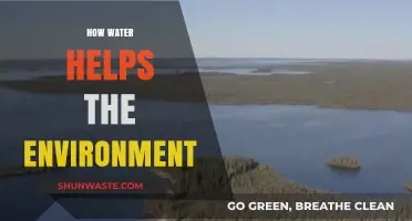 Water's Vital Role: Sustaining Ecosystems and Protecting Our Planet