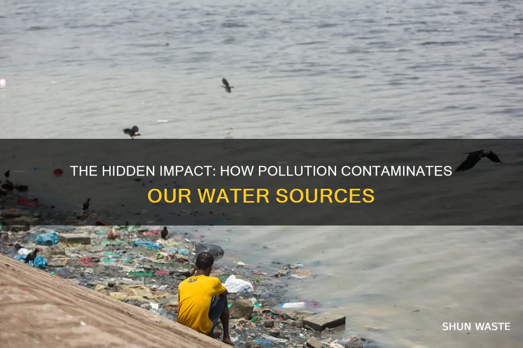 how water is affected by pollution