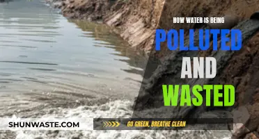 The Hidden Dangers: Water Pollution and Waste Crisis