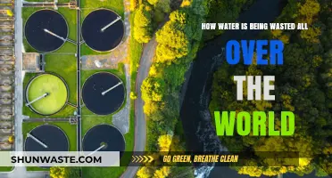Global Water Crisis: Uncovering the Shocking Ways Water is Wasted Worldwide