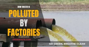 Industrial Water Pollution: The Hidden Dangers of Factory Waste