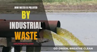 Industrial Waste: A Silent Threat to Our Waterways