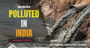 Unveiling India's Water Crisis: Sources and Solutions for Pollution