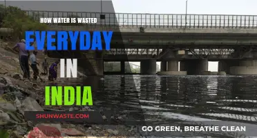 Daily Water Waste in India: Shocking Habits and Solutions