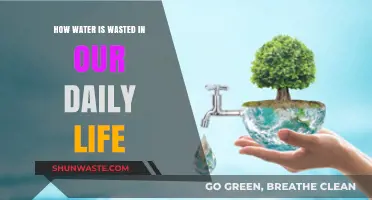 Daily Water Waste: Uncovering Hidden Habits Draining Our Precious Resource
