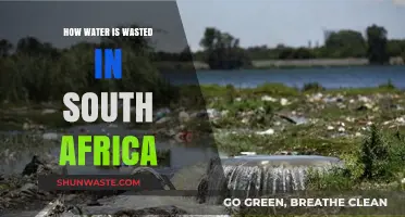 South Africa's Water Crisis: Uncovering Hidden Waste and Solutions