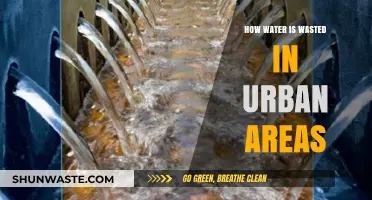 Urban Water Waste: Hidden Causes and Solutions for Conservation