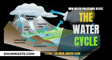 Unseen Water Cycle Disruptors: The Impact of Water Pollutants