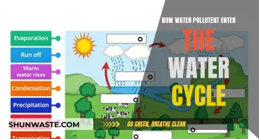 Unveiling the Path: How Water Pollutants Infiltrate the Water Cycle