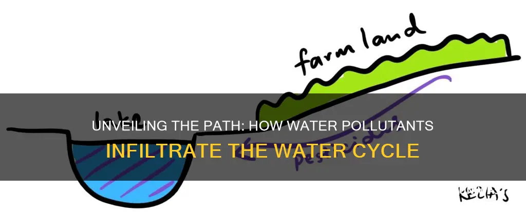 how water pollutent enter the water cycle