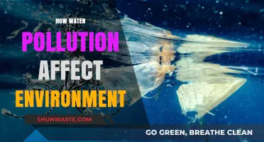 Water Pollution's Devastating Impact on Ecosystems and Environmental Health