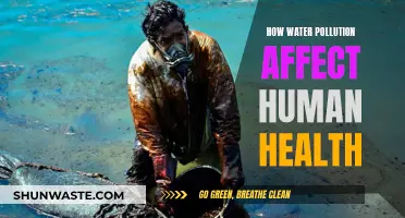 Water Pollution's Impact on Human Health