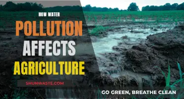 Water Pollution's Impact on Agriculture: A Growing Concern