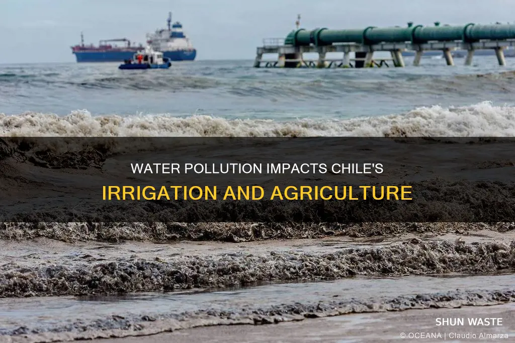 how water pollution affects chile on irrigation