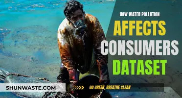 Water Pollution's Consumer Impact: A Dataset Analysis