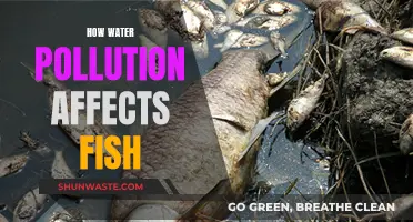 The Devastating Impact of Water Pollution on Fish Populations