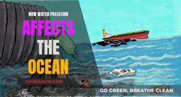 Ocean's Plight: Unveiling the Devastating Impact of Water Pollution