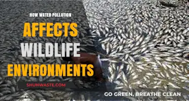 Water Pollution's Devastating Impact on Wildlife and Their Fragile Ecosystems