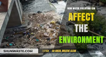 Water Pollution's Devastating Impact on Ecosystems and Environmental Health