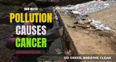 Unveiling the Hidden Link: Water Pollution and Cancer