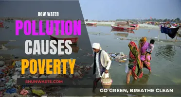 The Cycle of Water Pollution: How It Fuels Poverty