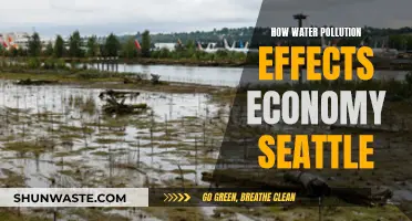 Water Woes: Seattle's Economy at Risk from Pollution