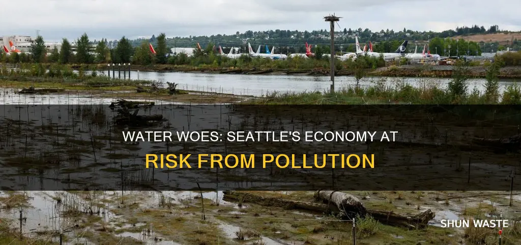 how water pollution effects economy seattle