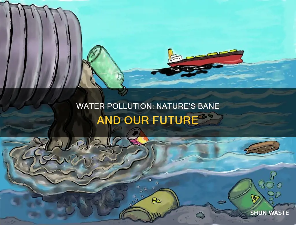 how water pollution ffects nature