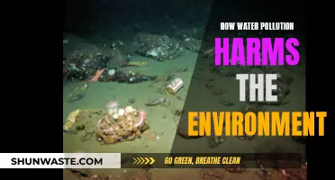 The Devastating Impact of Water Pollution: A Global Environmental Crisis