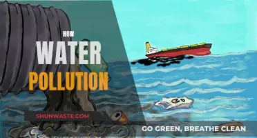 Unveiling the Impact: How Water Pollution Affects Our World