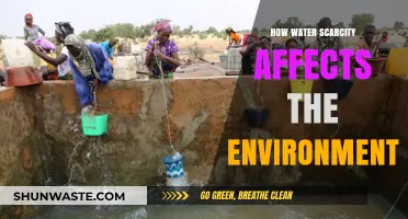 Water Scarcity's Devastating Impact on Ecosystems and Environmental Balance