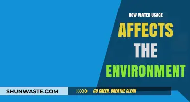 Water Usage Impact: Environmental Consequences and Sustainable Solutions Explored