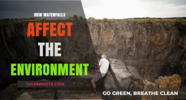 Waterfalls' Environmental Impact: Shaping Ecosystems and Landscapes Naturally
