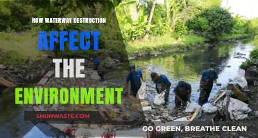 Waterway Destruction: Devastating Environmental Impacts and Ecosystem Consequences