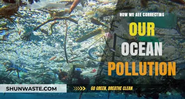 Ocean Cleanup: Our Efforts to Correct Pollution