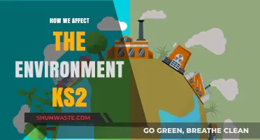 How Our Actions Impact the Environment: A KS2 Guide