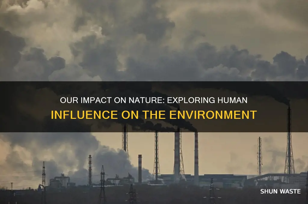 how we affect the environment worksheet