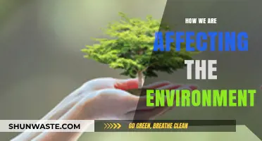 Human Impact: Unveiling Our Actions and Their Environmental Consequences
