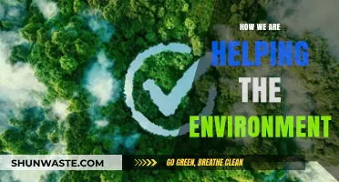 Sustainable Steps: Our Commitment to Protecting and Preserving Our Planet